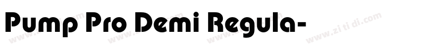 Pump Pro Demi Regula字体转换